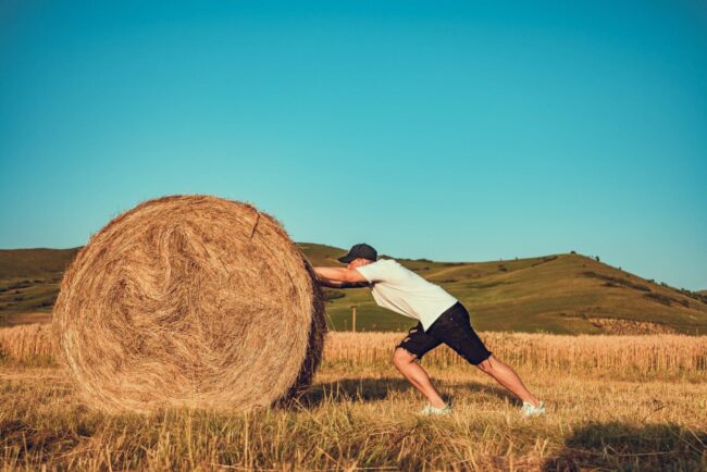 photo-of-man-pushing-hay-bale-2600312